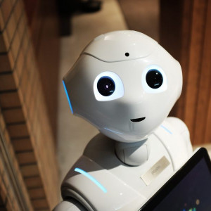 Robot concierge or how technology has changed the hotel industry?