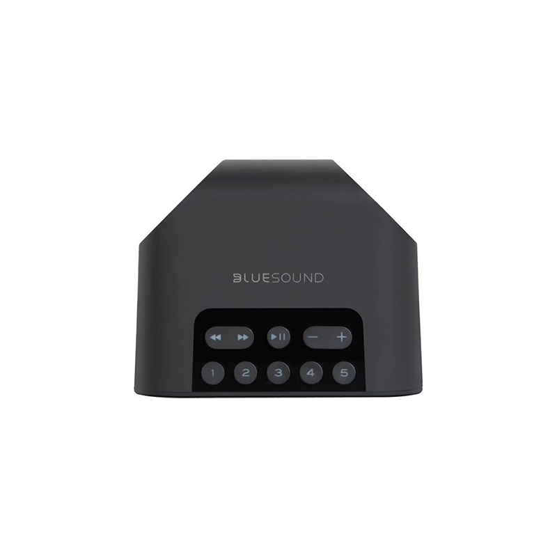 Bluesound Portable Wireless Music Streaming Speaker PULSE FLEX 2i