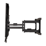 MantelMount MAX1 School Installation