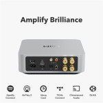 WiiM Amp Multiroom Streaming Amplifier in Silver